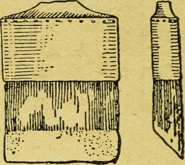 An illustration from Caras y caretas, 1898, leaf 567
