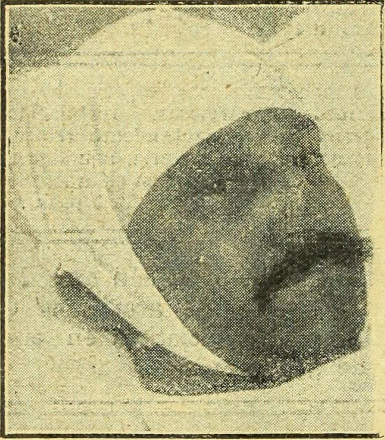 An illustration from Caras y caretas, 1898, leaf 583