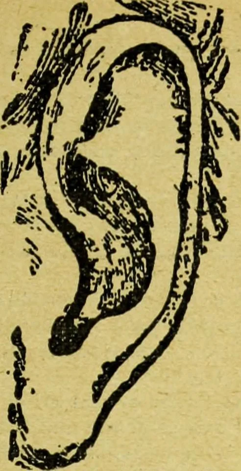 An illustration from Caras y caretas, 1898, leaf 586