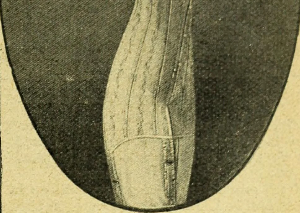 An illustration from Caras y caretas, 1898, leaf 60