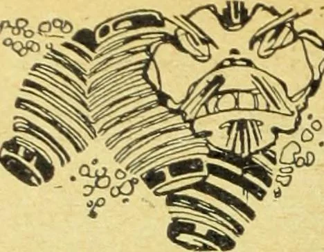 An illustration from Caras y caretas, 1898, leaf 601