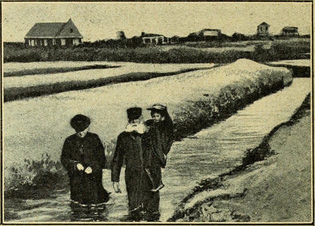 An illustration from Caras y caretas, 1898, leaf 633
