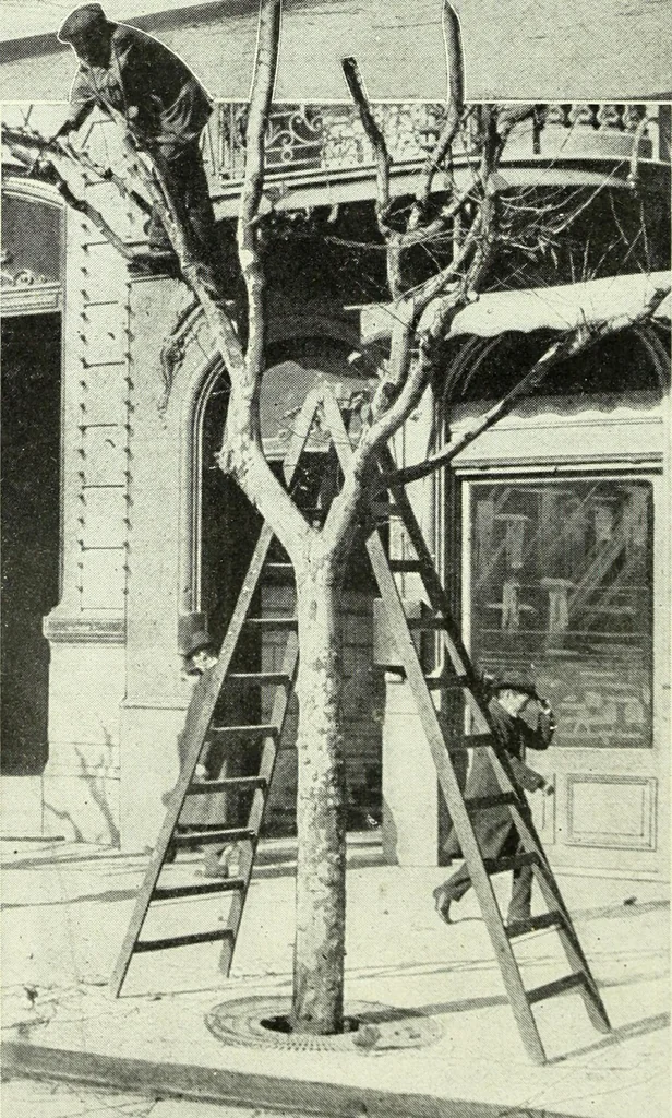 An illustration from Caras y caretas, 1898, leaf 653