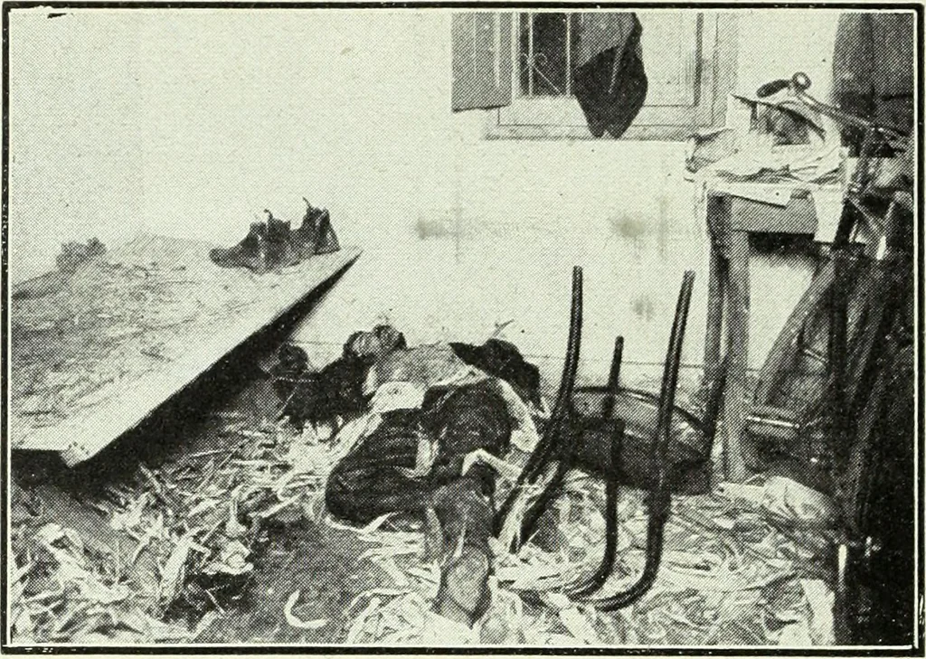 An illustration from Caras y caretas, 1898, leaf 659