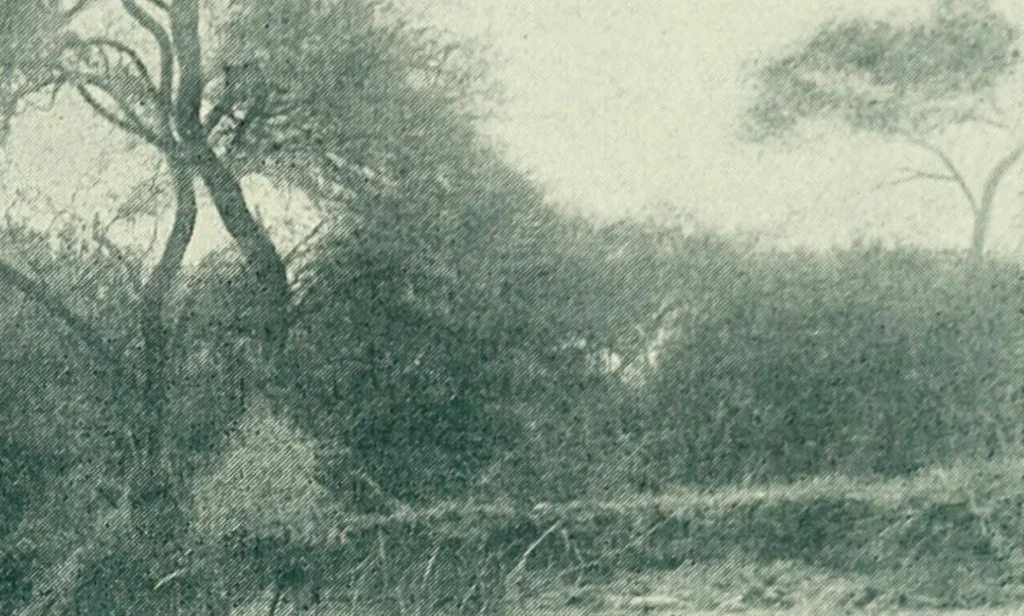 An illustration from Caras y caretas, 1898, leaf 676
