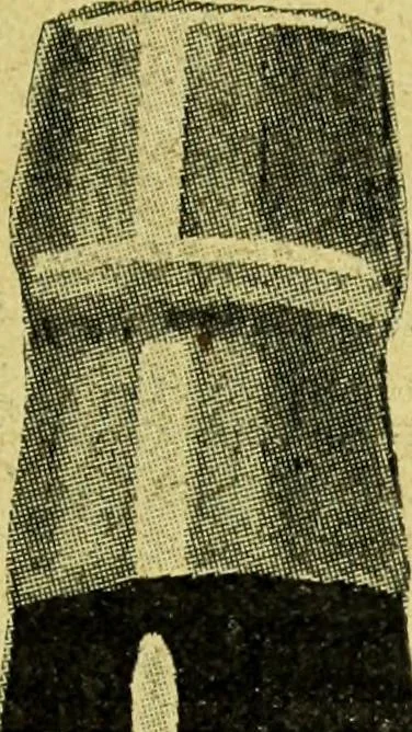 An illustration from Caras y caretas, 1898, leaf 704