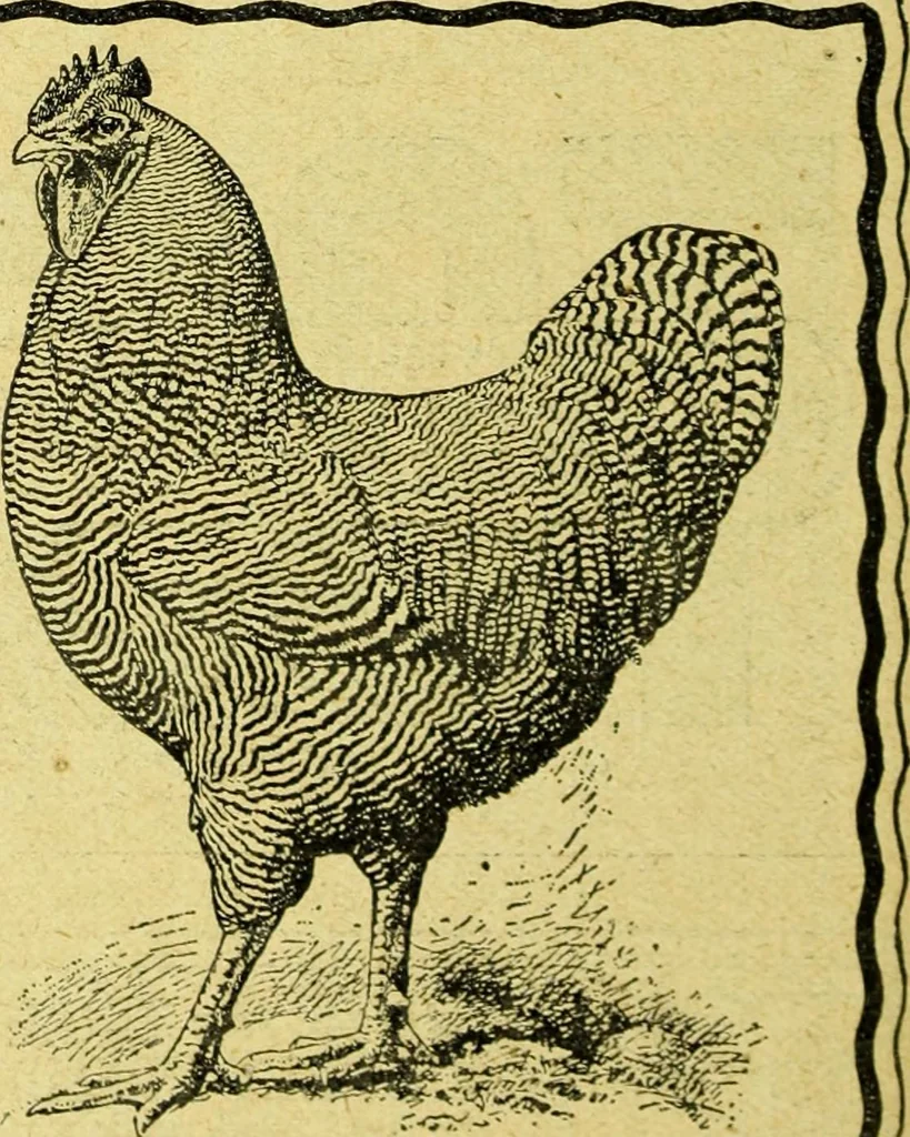 An illustration from Caras y caretas, 1898, leaf 711