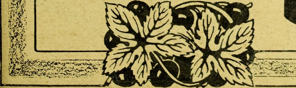 An illustration from Caras y caretas, 1898, leaf 782