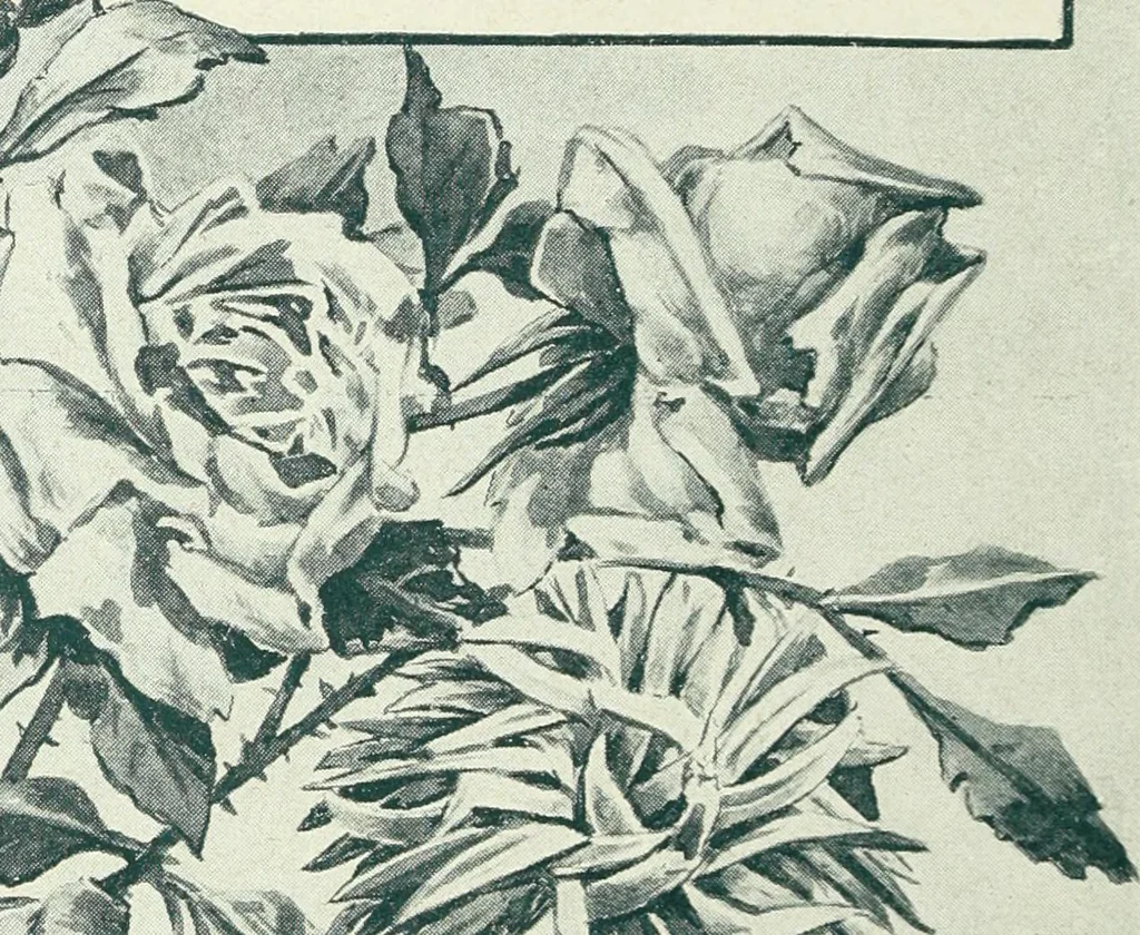 An illustration from Caras y caretas, 1898, leaf 807
