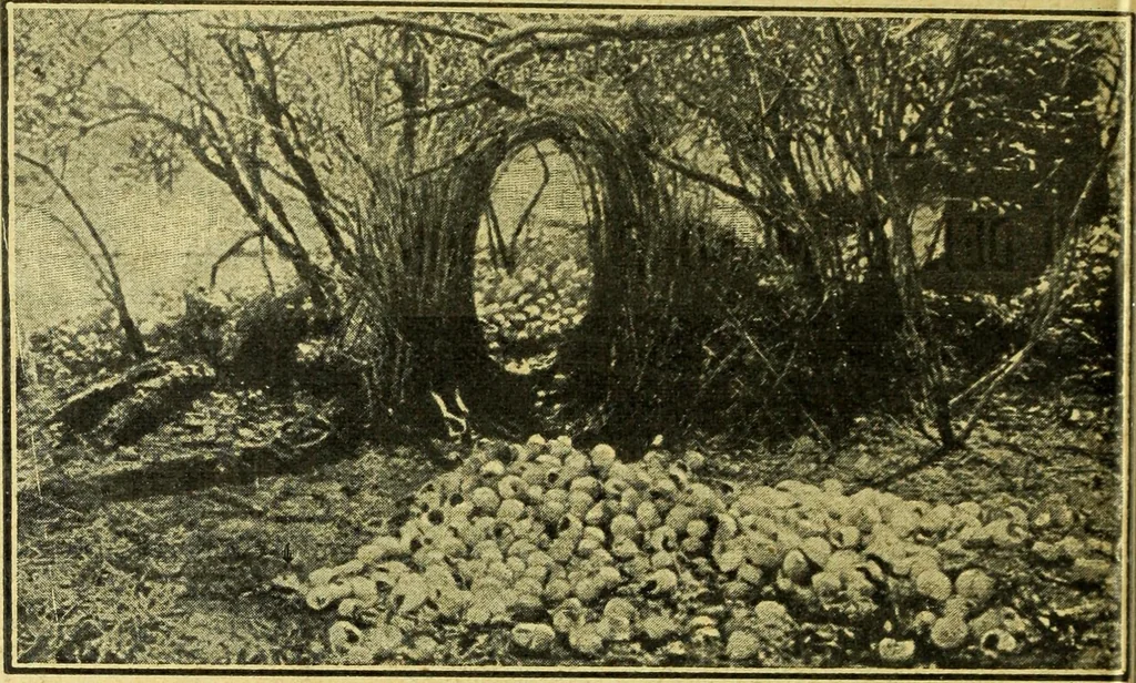 An illustration from Caras y caretas, 1898, leaf 845