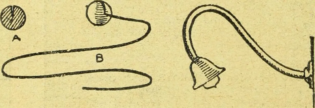 An illustration from Caras y caretas, 1898, leaf 853