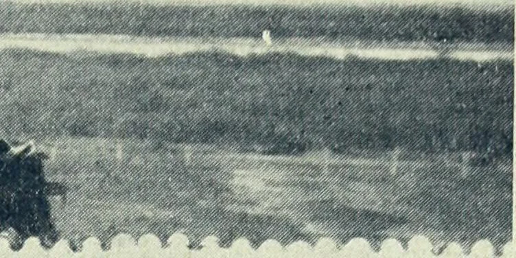 An illustration from Caras y caretas, 1898, leaf 942