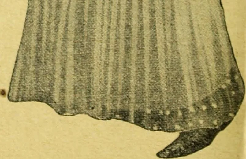 An illustration from Caras y caretas, 1898, leaf 981