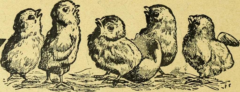 An illustration from Caras y caretas, 1898, leaf 983