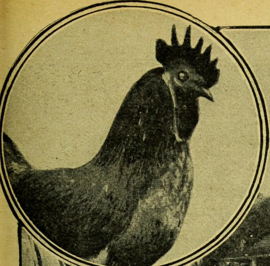 An illustration from Caras y caretas, 1898, leaf 986