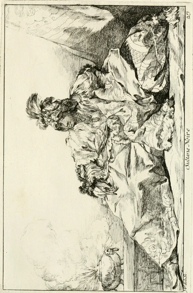 An illustration from Caravanne du sultan ala Mecque; mascarade turque donnée a Rome par Messieurs les pensionnaires de l'Academie de France et leurs amis au Carnaval de l'année 1748. Dediée à messire Iean Francois de Troy, ecuïer, conseiller sécrétaire du Roi, chevalier de l'Ordre de S. Michel, directeur de l'Academie roïale de France a Rome, ancien Recteur de celle de Paris, et ancien Prince de l'Academie de S. Luc de Rome &c ..., 1749, leaf 62