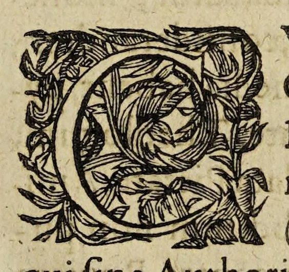 An illustration from Cardinalivm, archiepiscoporvm, episcoporvm, caeterorúmque qui ex vniuersis Regni prouincijs :, 1625, leaf 3