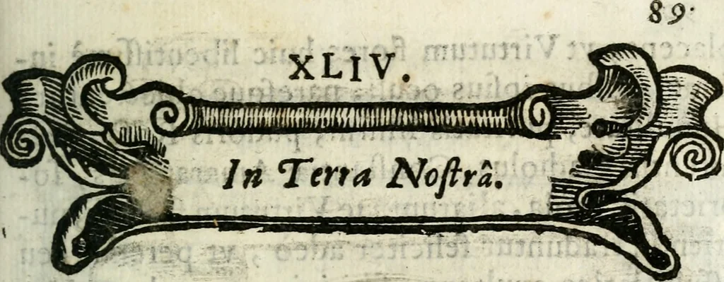 An illustration from Cardiomorpheoseos sive ex corde desumpta emblemata sacra, 1645, leaf 100