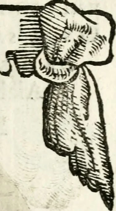 An illustration from Cardiomorpheoseos sive ex corde desumpta emblemata sacra, 1645, leaf 136