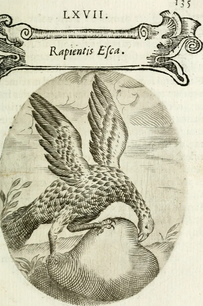An illustration from Cardiomorpheoseos sive ex corde desumpta emblemata sacra, 1645, leaf 146