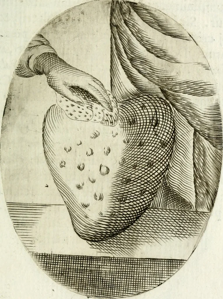 An illustration from Cardiomorpheoseos sive ex corde desumpta emblemata sacra, 1645, leaf 176