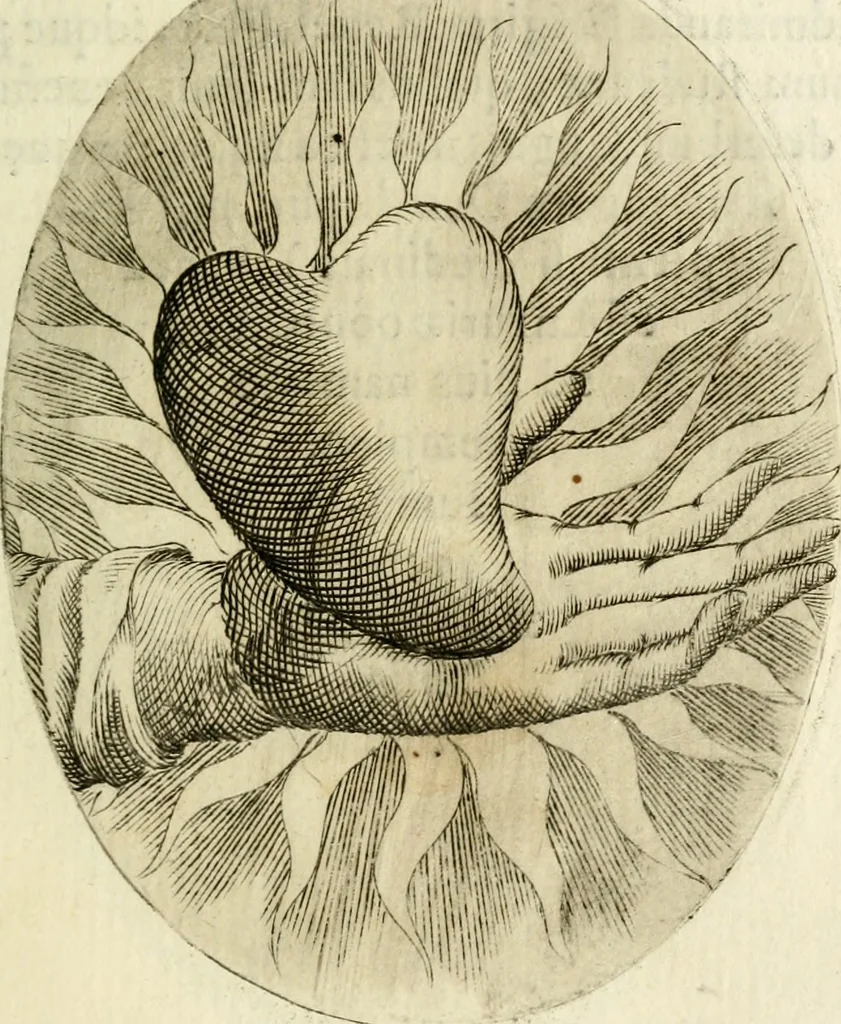 An illustration from Cardiomorpheoseos sive ex corde desumpta emblemata sacra, 1645, leaf 194