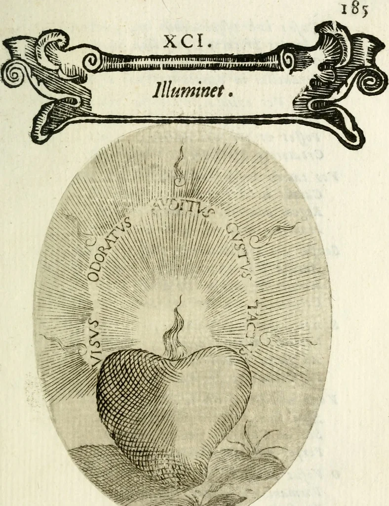 An illustration from Cardiomorpheoseos sive ex corde desumpta emblemata sacra, 1645, leaf 196