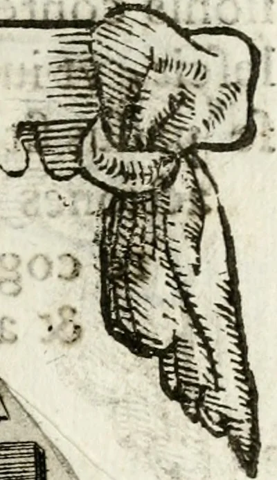 An illustration from Cardiomorpheoseos sive ex corde desumpta emblemata sacra, 1645, leaf 30