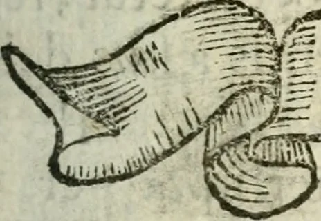 An illustration from Cardiomorpheoseos sive ex corde desumpta emblemata sacra, 1645, leaf 48