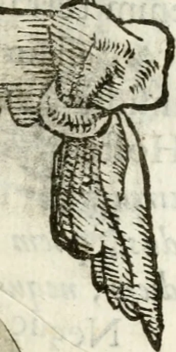 An illustration from Cardiomorpheoseos sive ex corde desumpta emblemata sacra, 1645, leaf 50