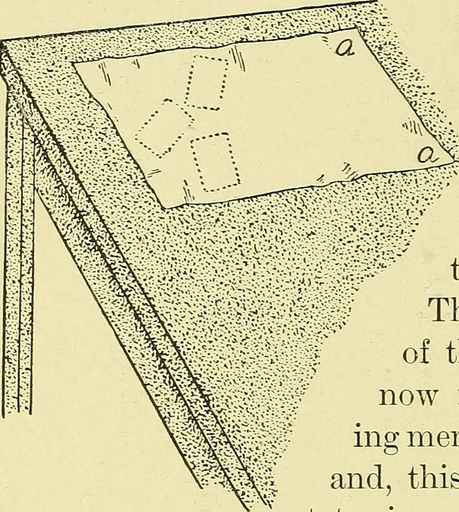 An illustration from Card tricks;, 1900, leaf 61