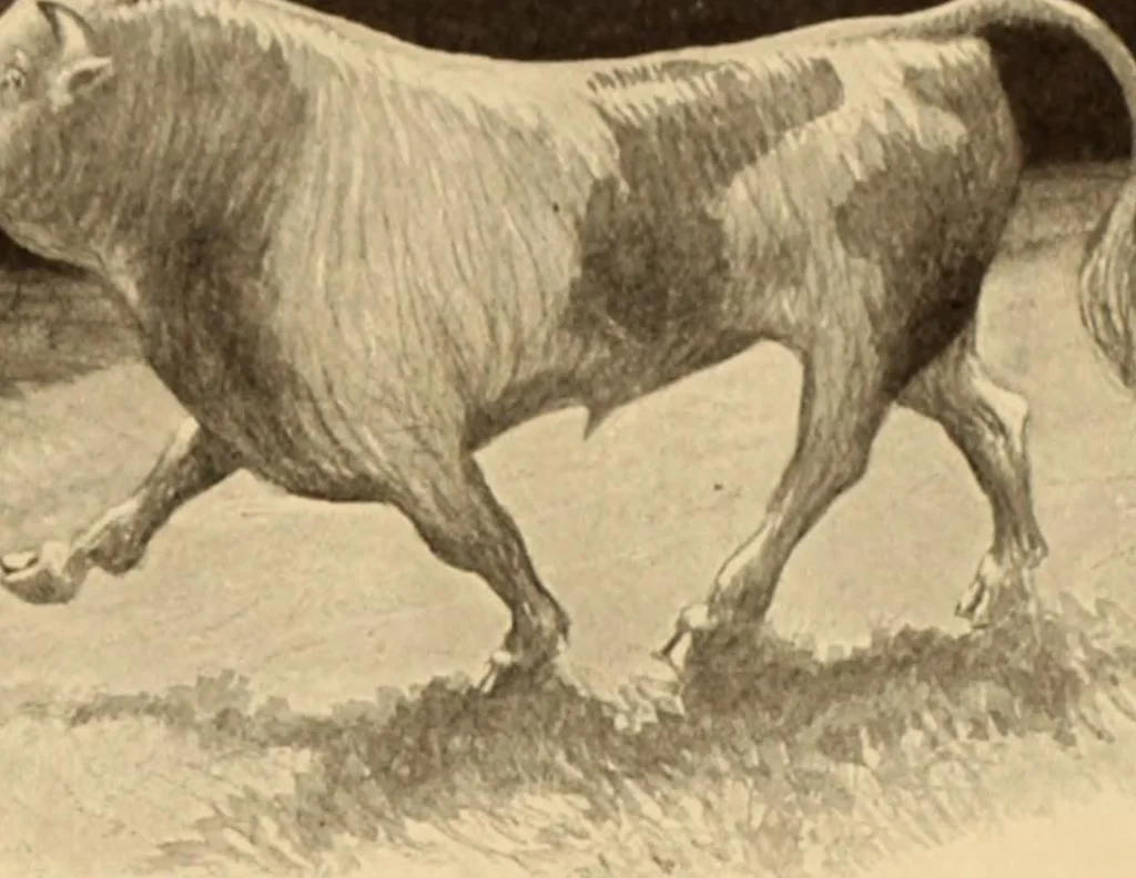 An illustration from Caricature. ed 1908, 1908, leaf 170