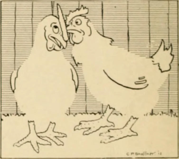 An illustration from Caricature. ed 1908, 1908, leaf 205