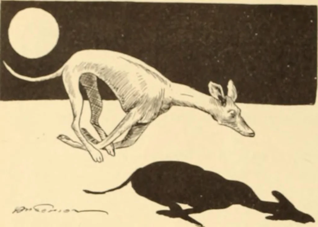 An illustration from Caricature. ed 1908, 1908, leaf 81