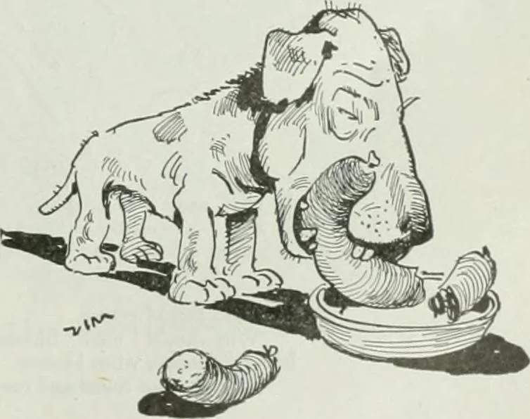 An illustration from Caricature; wit and humor of a nation in picture, song and story, 1911, leaf 120