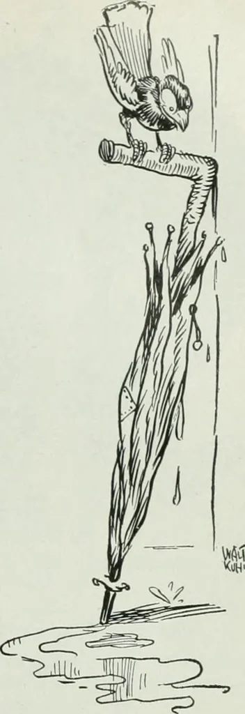 An illustration from Caricature; wit and humor of a nation in picture, song and story, 1911, leaf 126