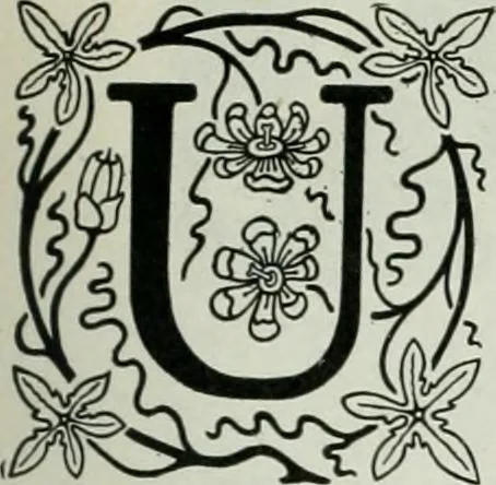 An illustration from Caricature; wit and humor of a nation in picture, song and story, 1911, leaf 136