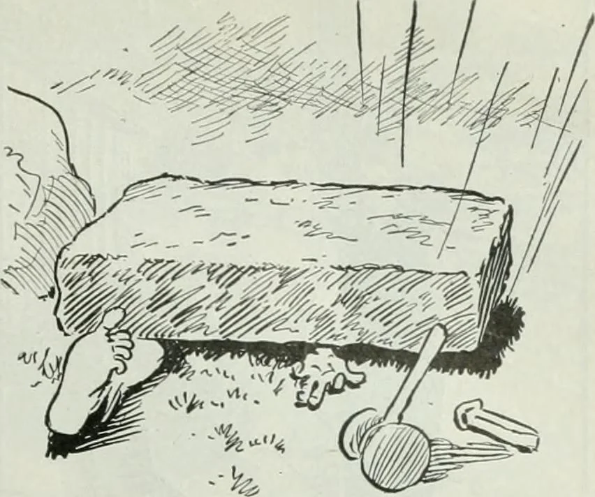 An illustration from Caricature; wit and humor of a nation in picture, song and story, 1911, leaf 142