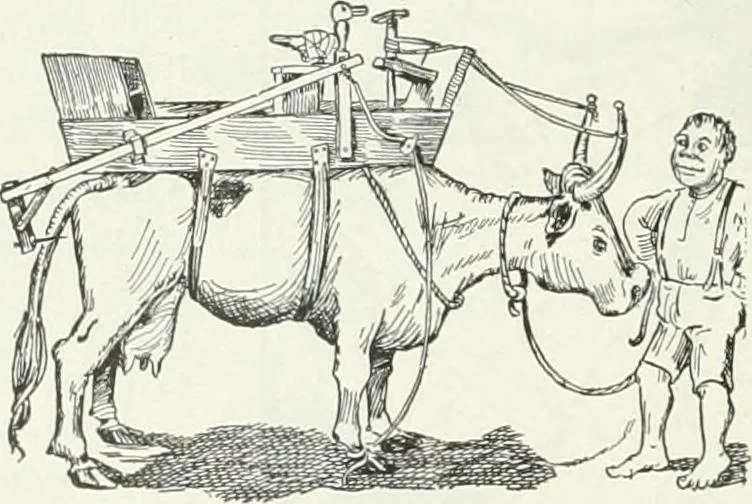 An illustration from Caricature; wit and humor of a nation in picture, song and story, 1911, leaf 191