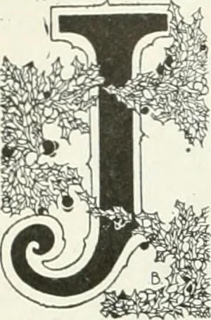 An illustration from Caricature; wit and humor of a nation in picture, song and story, 1911, leaf 261