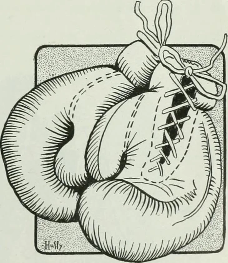 An illustration from Caricature; wit and humor of a nation in picture, song and story, 1911, leaf 270