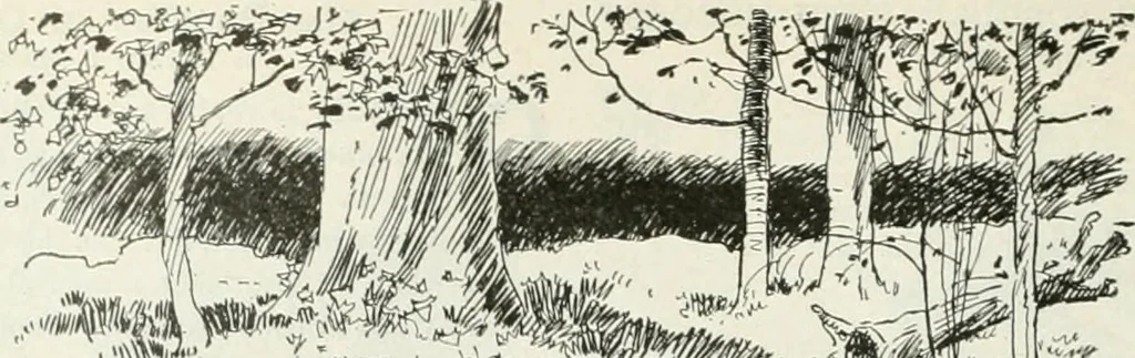 An illustration from Caricature; wit and humor of a nation in picture, song and story, 1911, leaf 277