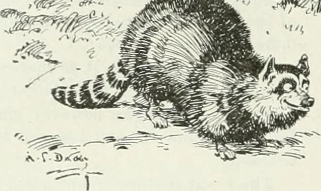 An illustration from Caricature; wit and humor of a nation in picture, song and story, 1911, leaf 277