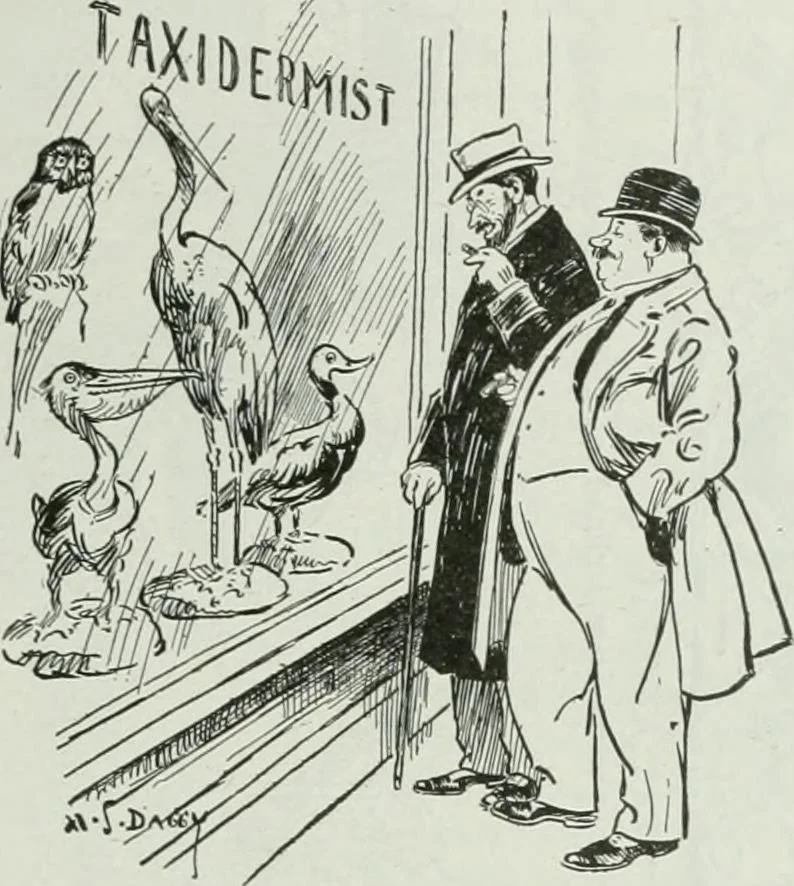 An illustration from Caricature; wit and humor of a nation in picture, song and story, 1911, leaf 282