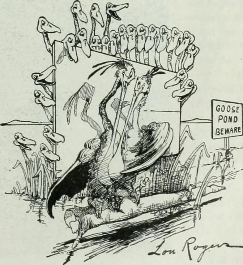 An illustration from Caricature; wit and humor of a nation in picture, song and story, 1911, leaf 300