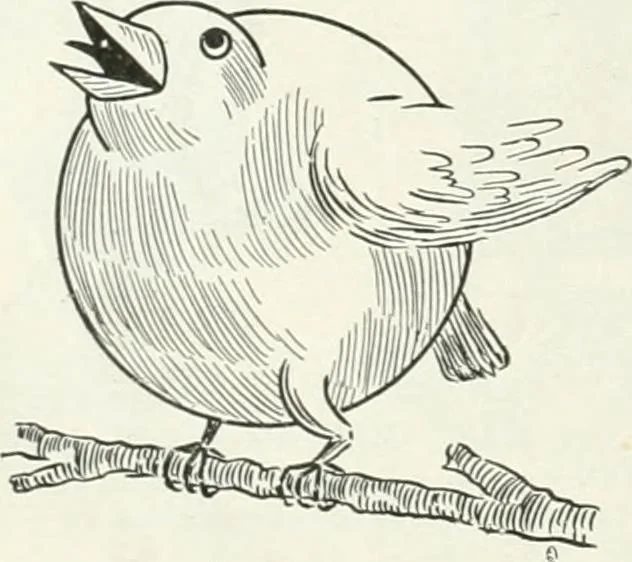 An illustration from Caricature; wit and humor of a nation in picture, song and story, 1911, leaf 39