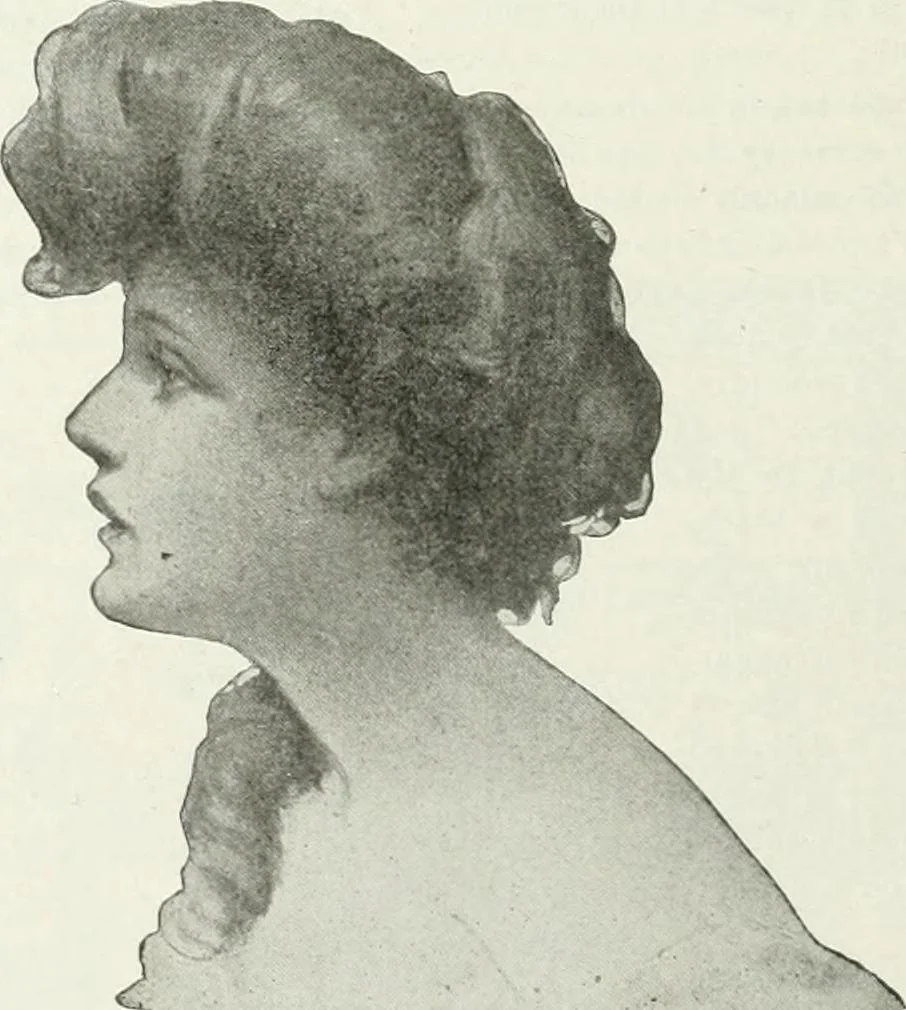 An illustration from Caricature; wit and humor of a nation in picture, song and story, 1911, leaf 79