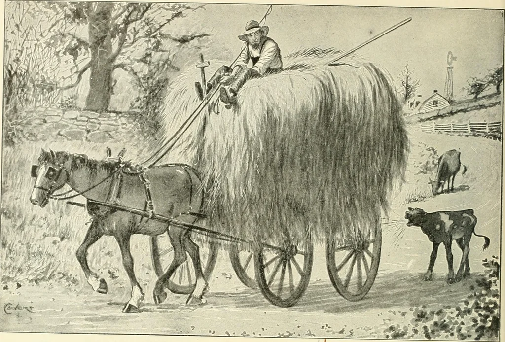 An illustration from Caricature. Wit and humor of a nation in picture, song and story, 1914, leaf 43