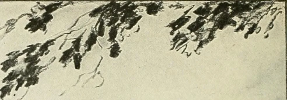 An illustration from Caricature. Wit and humor of a nation in picture, song and story, 1914, leaf 91