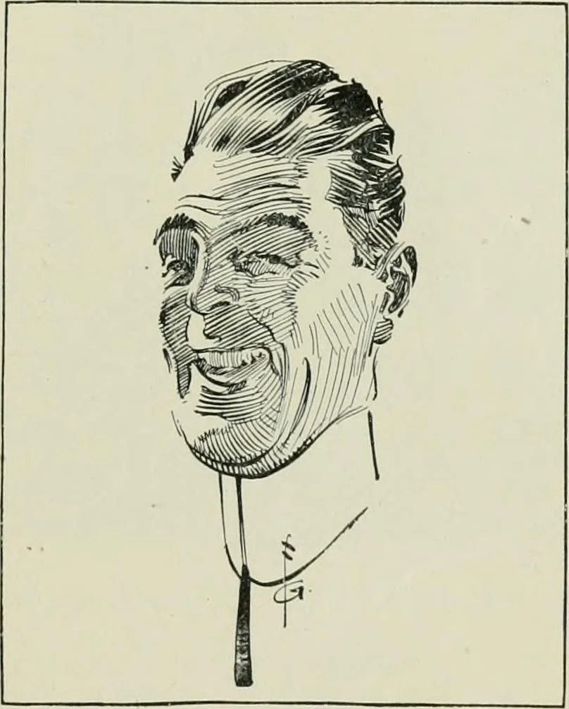 An illustration from Caricature. Wit and humor of a nation in picture, song and story, 1914, leaf 4